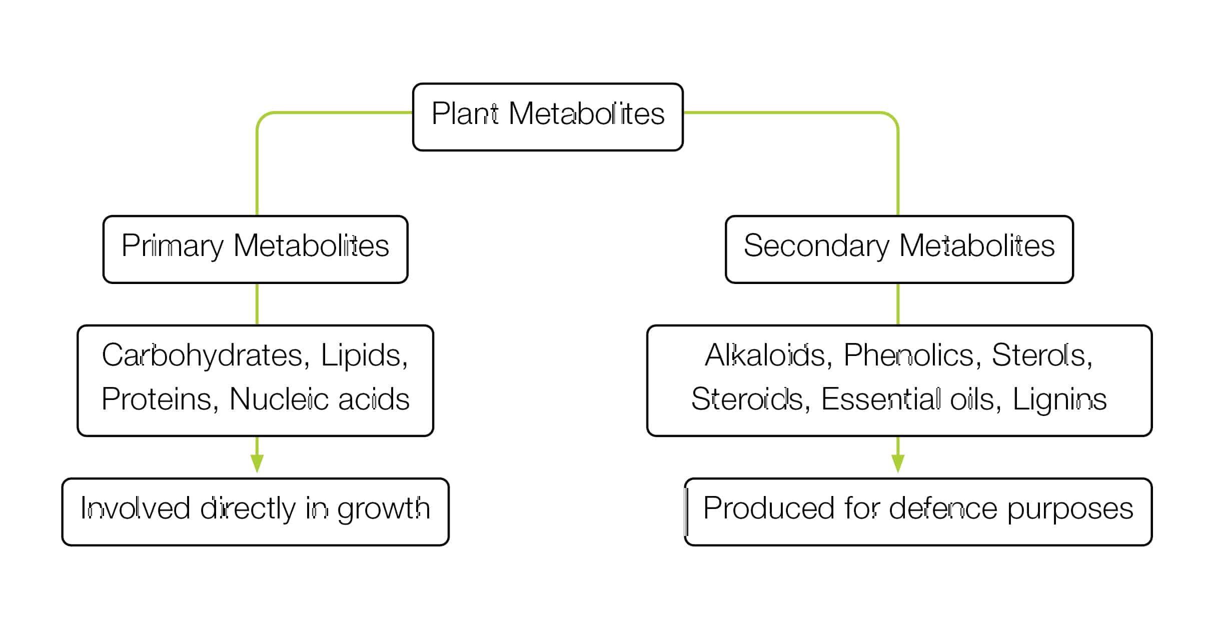 Plant Metabolites; Primary Metabolites; Secondary Metabolites